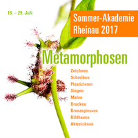 Sommer-Akademie Rheinau 2017