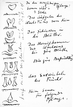 Skizze zu den Sockelmotiven von Kemper nach Angaben Rudolf Steiners