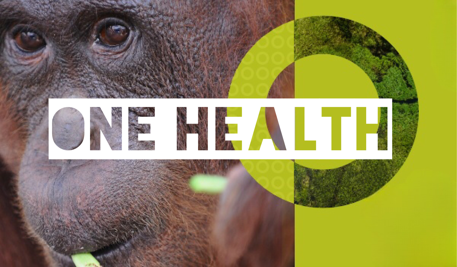One Health – eine totalitäre Vision?
